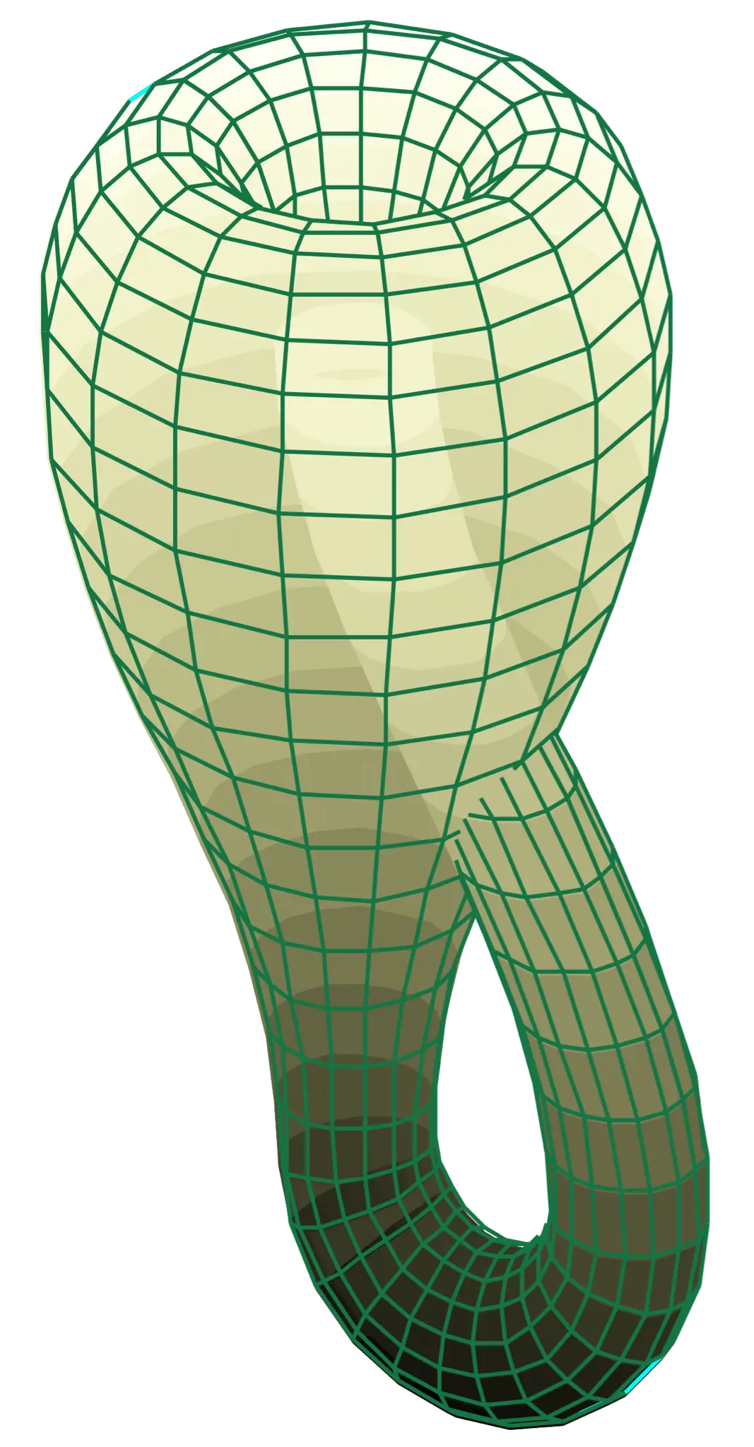 Klein_Bottle